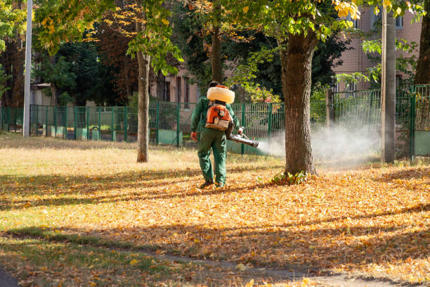 Best Pest Control Near Me  in East Speer, NC